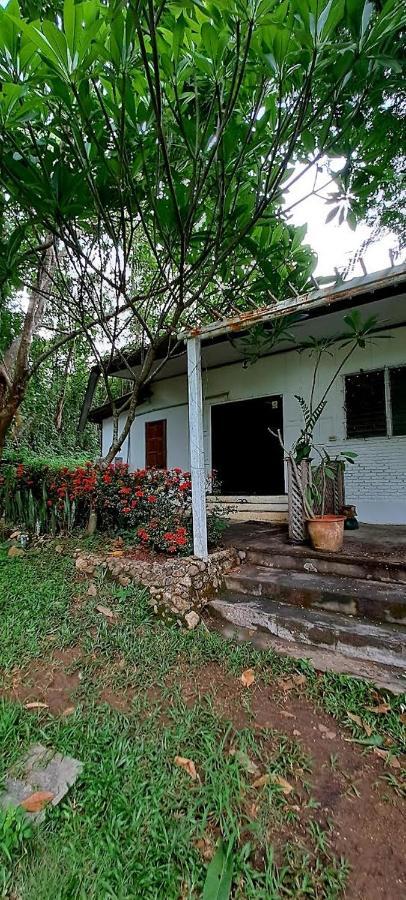 Pai Yard Guest House Zewnętrze zdjęcie